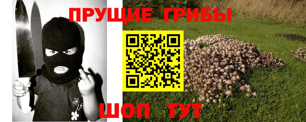 Галлюциногенные грибы MAGIC MUSHROOMS Шахты