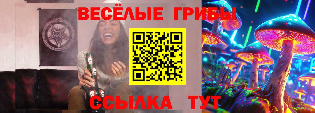 Псилоцибиновые грибы Magic Shrooms  Вход с VPN  Шахты  Галлюциногенные грибы GOLDEN TEACHER 
